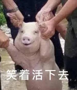 笑哭!2017年度五十大喜感新闻出炉