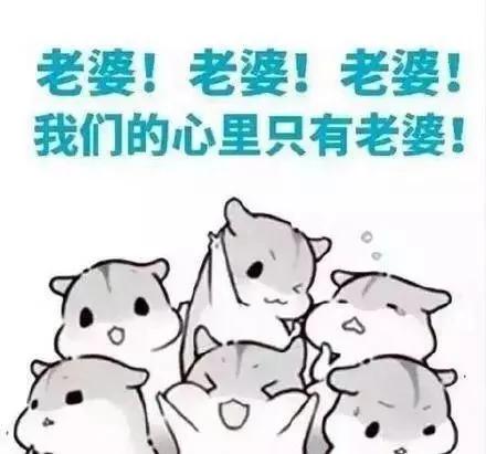 笑哭!2017年度五十大喜感新闻出炉