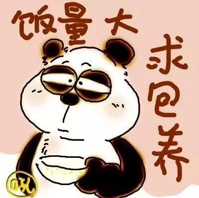 笑哭!2017年度五十大喜感新闻出炉