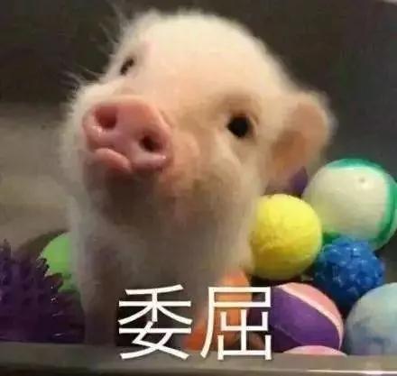 笑哭!2017年度五十大喜感新闻出炉