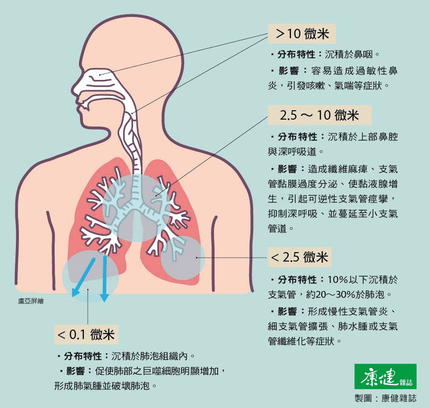 【图解】你知道PM2.5如何造成人体伤害?