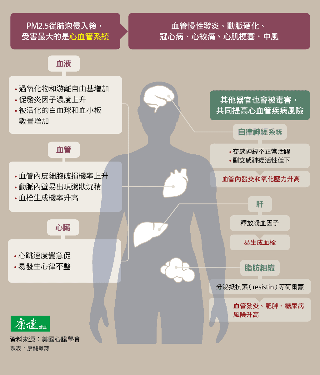 【图解】你知道PM2.5如何造成人体伤害?