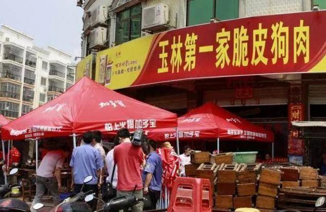 狗狗知道即将被主人卖给狗贩 眼神令人心碎!
