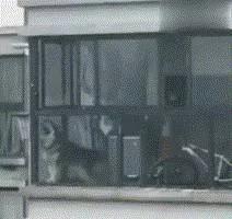 怕狗狗拆家 主人把二哈栓阳台 结果勒死了!