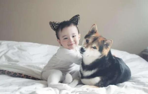 宝宝与柴犬的合照太可爱了!萌翻网友啊!
