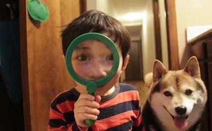 宝宝与柴犬的合照太可爱了!萌翻网友啊!