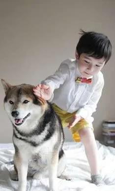 宝宝与柴犬的合照太可爱了!萌翻网友啊!