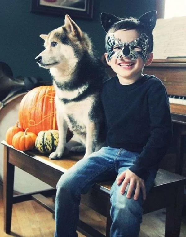 宝宝与柴犬的合照太可爱了!萌翻网友啊!