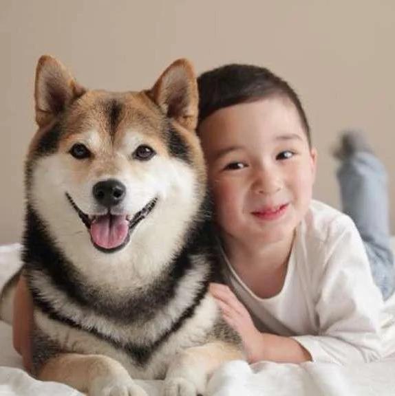 宝宝与柴犬的合照太可爱了!萌翻网友啊!