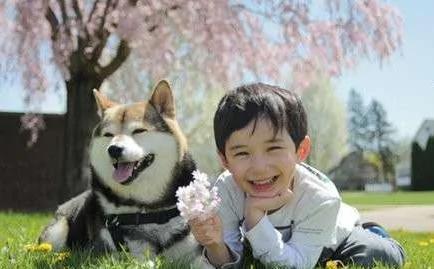宝宝与柴犬的合照太可爱了!萌翻网友啊!