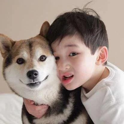 宝宝与柴犬的合照太可爱了!萌翻网友啊!