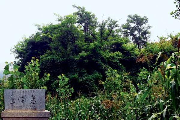 良将乐毅所向无敌 竟有一人至死不降