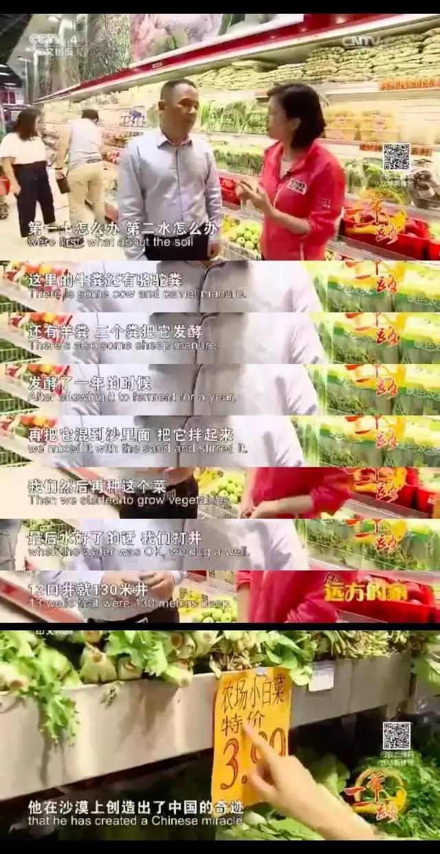 东方神秘力量惊呆老外:无论到哪中国人都能种菜