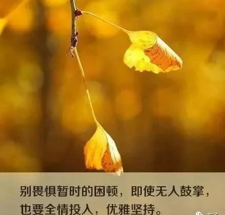 人活一世 想开了就是幸福 想不开就是痛苦!