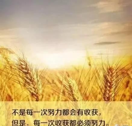 人活一世 想开了就是幸福 想不开就是痛苦!