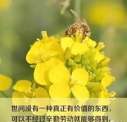 人活一世 想开了就是幸福 想不开就是痛苦!