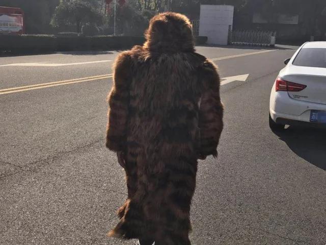 路上居然走着一只熊 真相让人笑抽