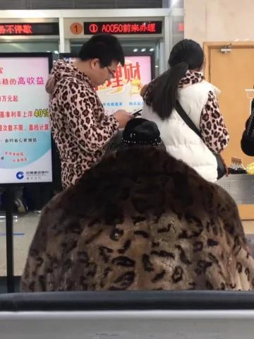 路上居然走着一只熊 真相让人笑抽