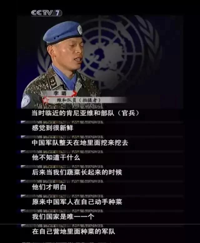 中国爹妈在耶鲁也不忘种菜 老外看傻了