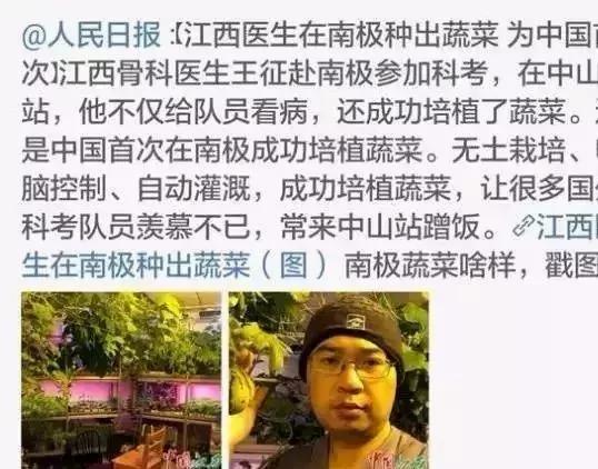 中国爹妈在耶鲁也不忘种菜 老外看傻了