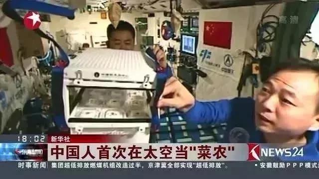 中国爹妈在耶鲁也不忘种菜 老外看傻了