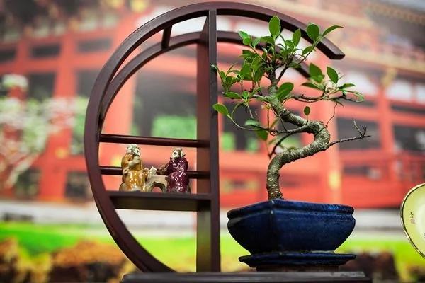 别什么都往卧室里放 卧室布置禁忌知多少?