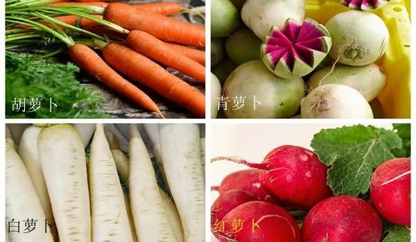 “冬吃萝卜夏吃姜” 原来是指这种萝卜…搭配一物 功效惊人