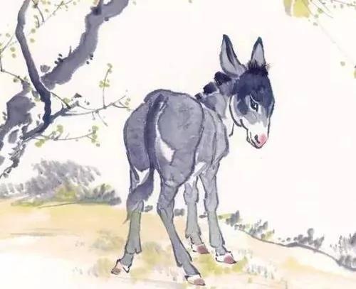当你郁闷的时候 看看这头犟驴!
