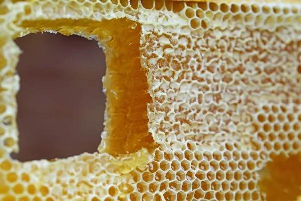 这11种常见食物是高血脂的大“克星” 常吃改善全身血管
