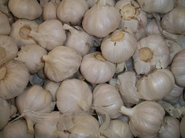 这11种常见食物是高血脂的大“克星” 常吃改善全身血管