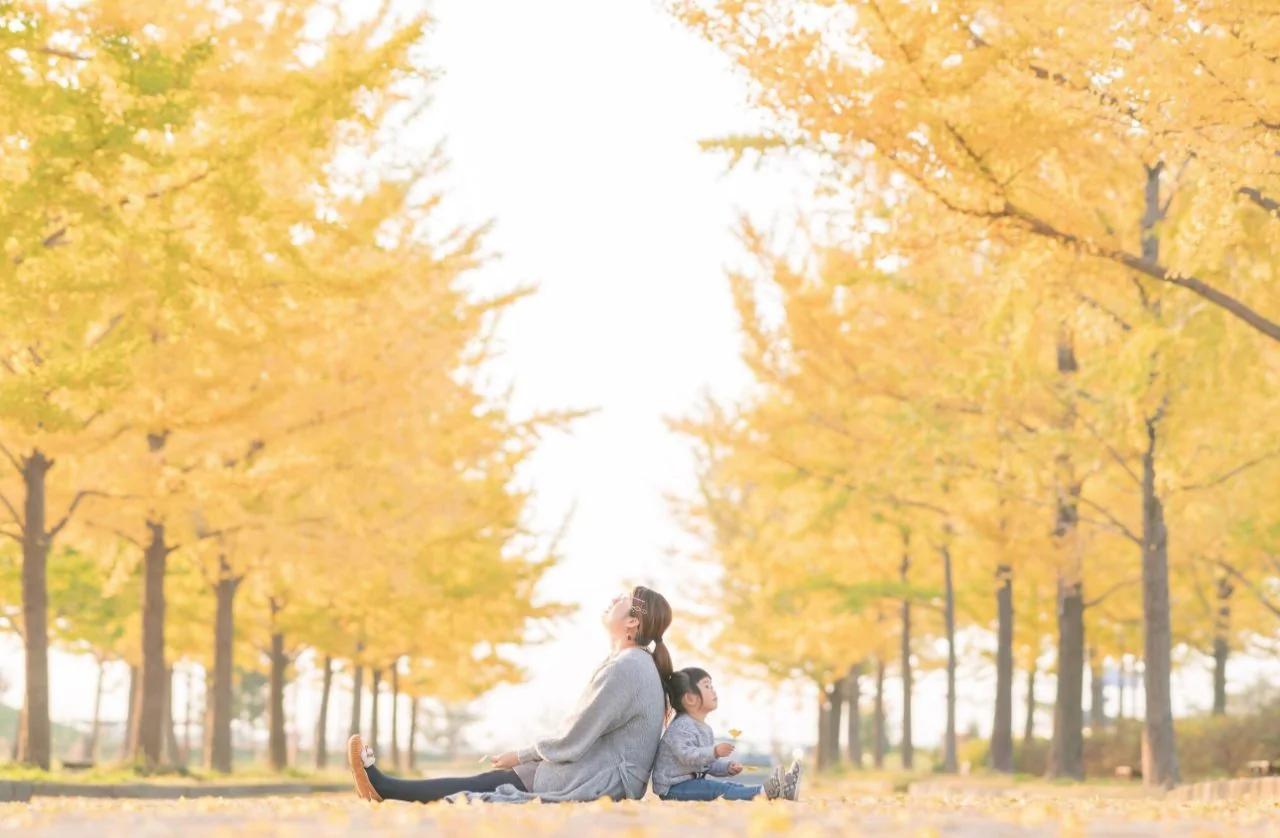 日本一爸爸拍摄了妻子和女儿的互动瞬间 火了!