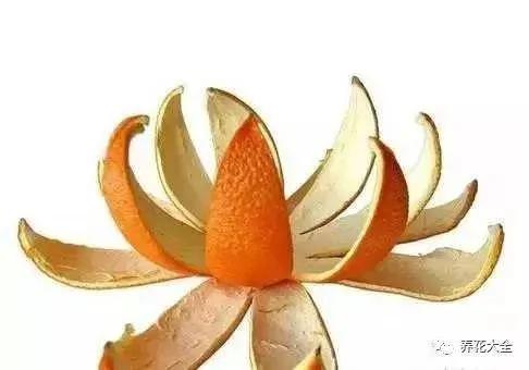 橘子皮烂苹果扔盆里 花像吃兴奋剂 疯长开花不黄叶