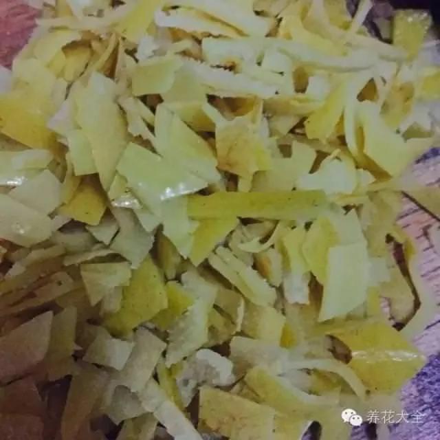 橘子皮烂苹果扔盆里 花像吃兴奋剂 疯长开花不黄叶