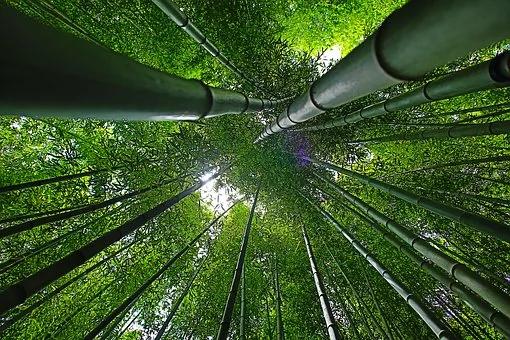 真逗!古代十大闲人:闲着不可怕 就怕闲得没文化…
