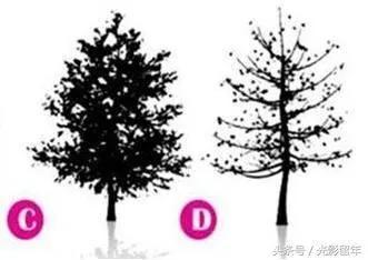 心理测试:从下面选择你最喜欢的一棵树 看你最近的财运好不好