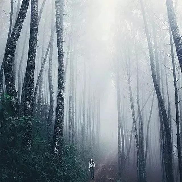 50 个小秘诀 帮你摆脱菜鸟级旅拍水准