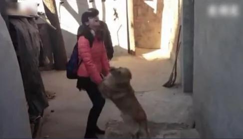 女主人出差回家 狗狗将她拦在门外 真相感人!