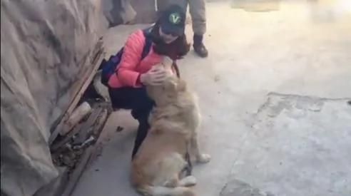 女主人出差回家 狗狗将她拦在门外 真相感人!