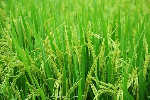 当二十四节气遇上诗歌 居然可以这么文艺范!