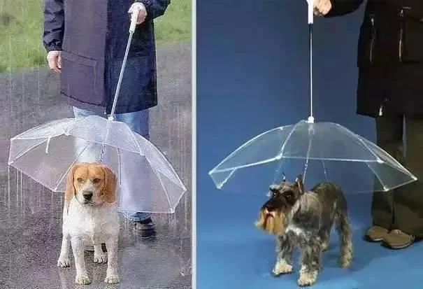 雨伞旧了千万别扔!!这样一改 比新伞还实用