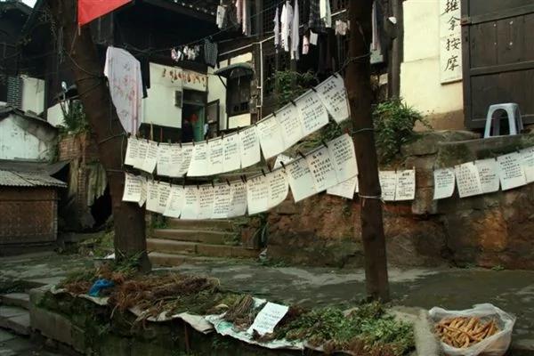 健康养生:中医六大补肾食疗药膳