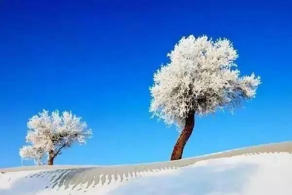 新疆的沙漠下雪了 这才叫"冰与火之歌"