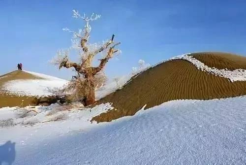 新疆的沙漠下雪了 这才叫"冰与火之歌"