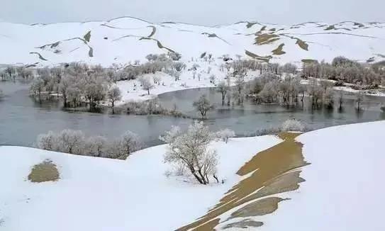 新疆的沙漠下雪了 这才叫"冰与火之歌"