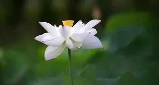 人生不必计较的二十件事 很透彻很真实!