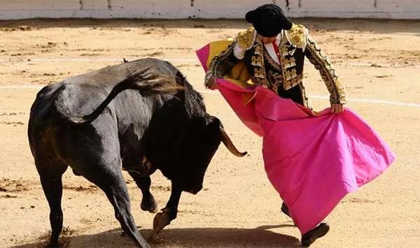 原来对这些动物有那么多错误认知 快修正过来吧!