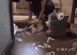 爆笑动图:据说好身材的室友 早上是这样起床的 意不意外?