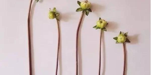 好现实的一段话 看得心疼!