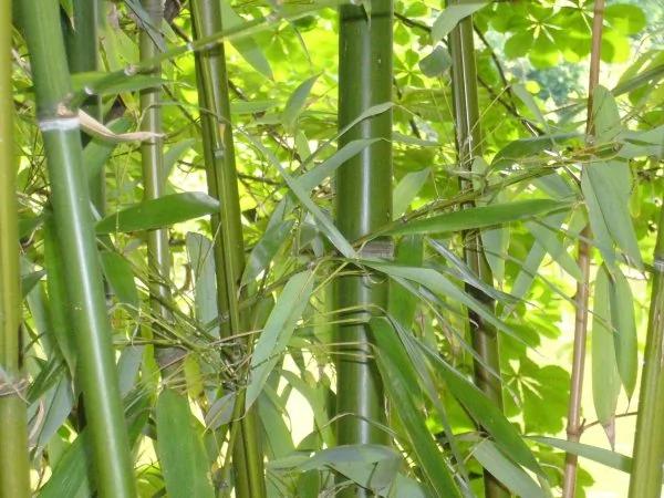孔子论君子与小人的七个区别