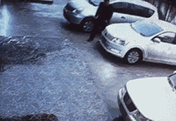 下雪天 被这些南方人民的行为笑哭了